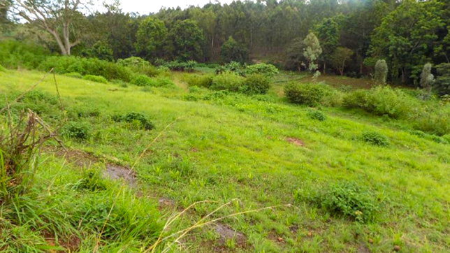 1 plot to acre