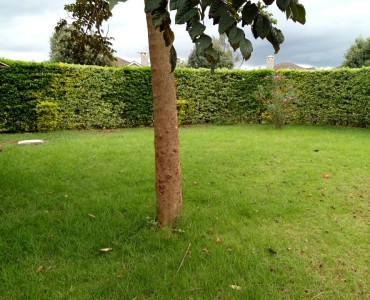 Townhouses to rent in Kiambu town