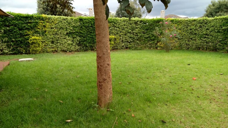 Townhouses to rent in Kiambu town