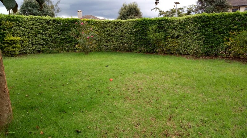 Townhouses to rent in Kiambu town
