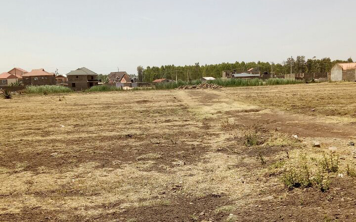 Plots for sale in Juja Kenya