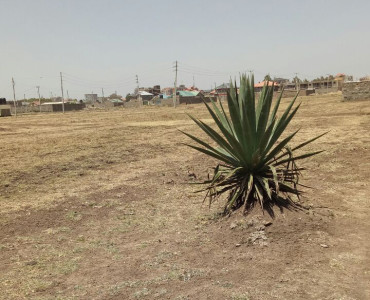 Plots for sale in Juja Kenya