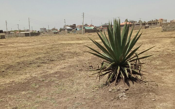 Plots for sale in Juja Kenya
