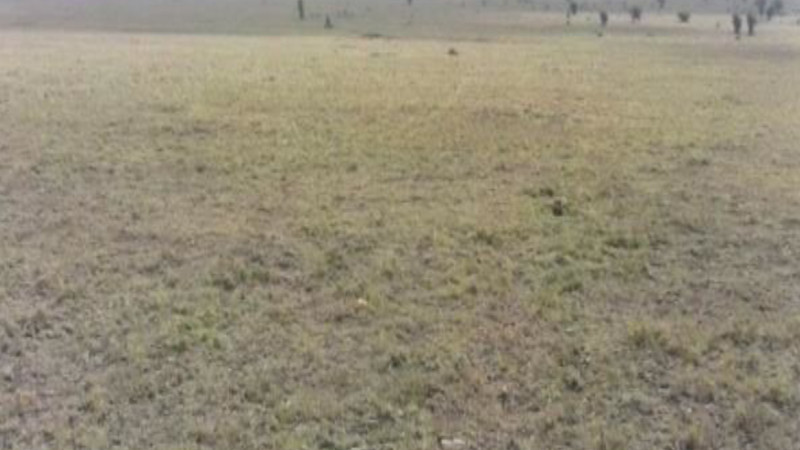 29-acre Land for sale in Kajiado Kenya