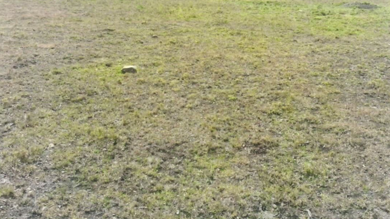 29-acre Land for sale in Kajiado Kenya