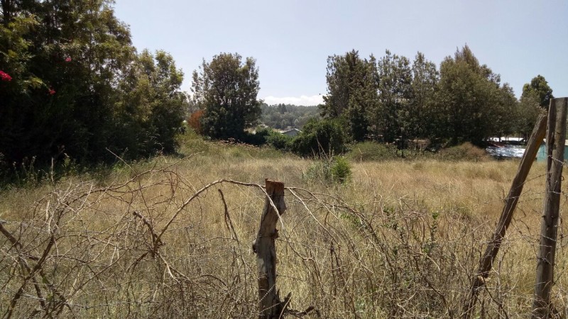 Half acre plots in Karen