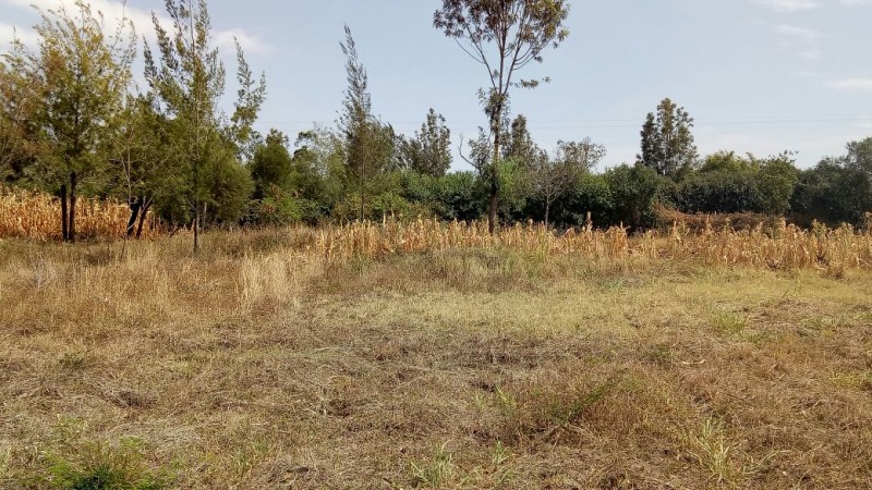 1/8 Acre land for sale in Ngong Matasia