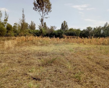 1/8 Acre land for sale in Ngong Matasia