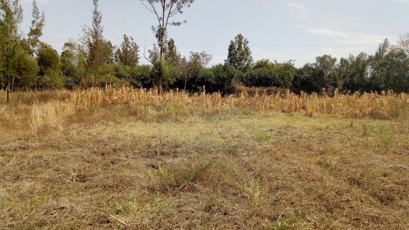 1/8 Acre land for sale in Ngong Matasia