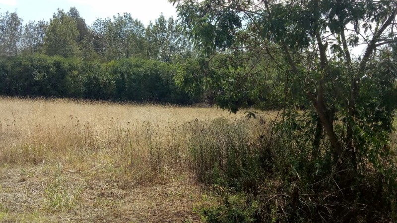 1/8 Acre land for sale in Ngong Matasia