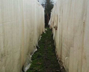 Plots for sale in Ongata Rongai