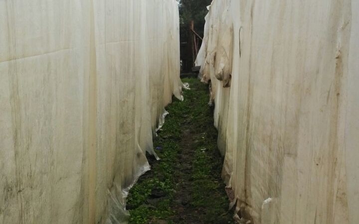 Plots for sale in Ongata Rongai