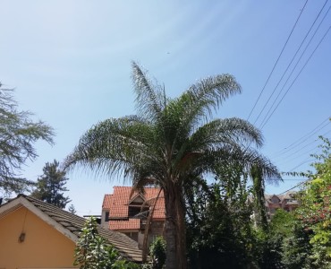 0.3 Acres for sale in Kileleshwa off Oloitotok Rd. (1)