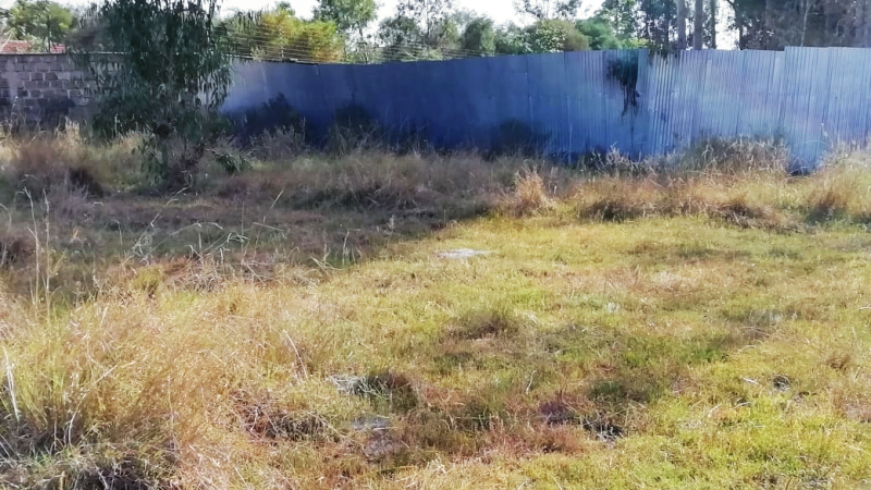 Karen off Academy road Mokoyeti. (1)