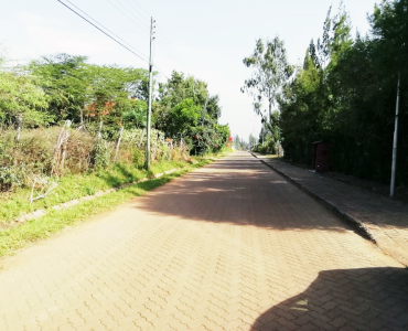 Karen off Academy road Mokoyeti. (1)