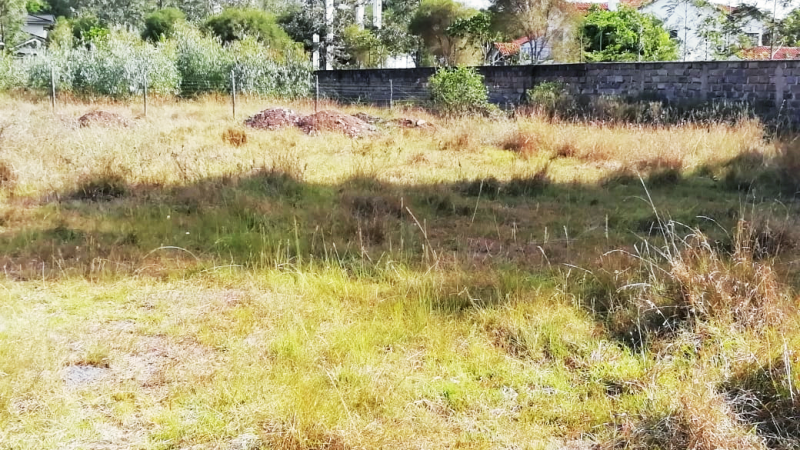 Karen off Academy road Mokoyeti. (1)