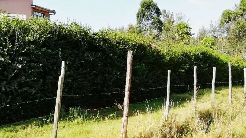 Karen off Academy road Mokoyeti. (1)